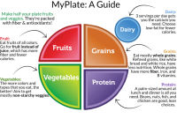 Myplate guide healthy meal gov september snap4ct website