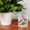 How to Water Potted Plants While on Vacation