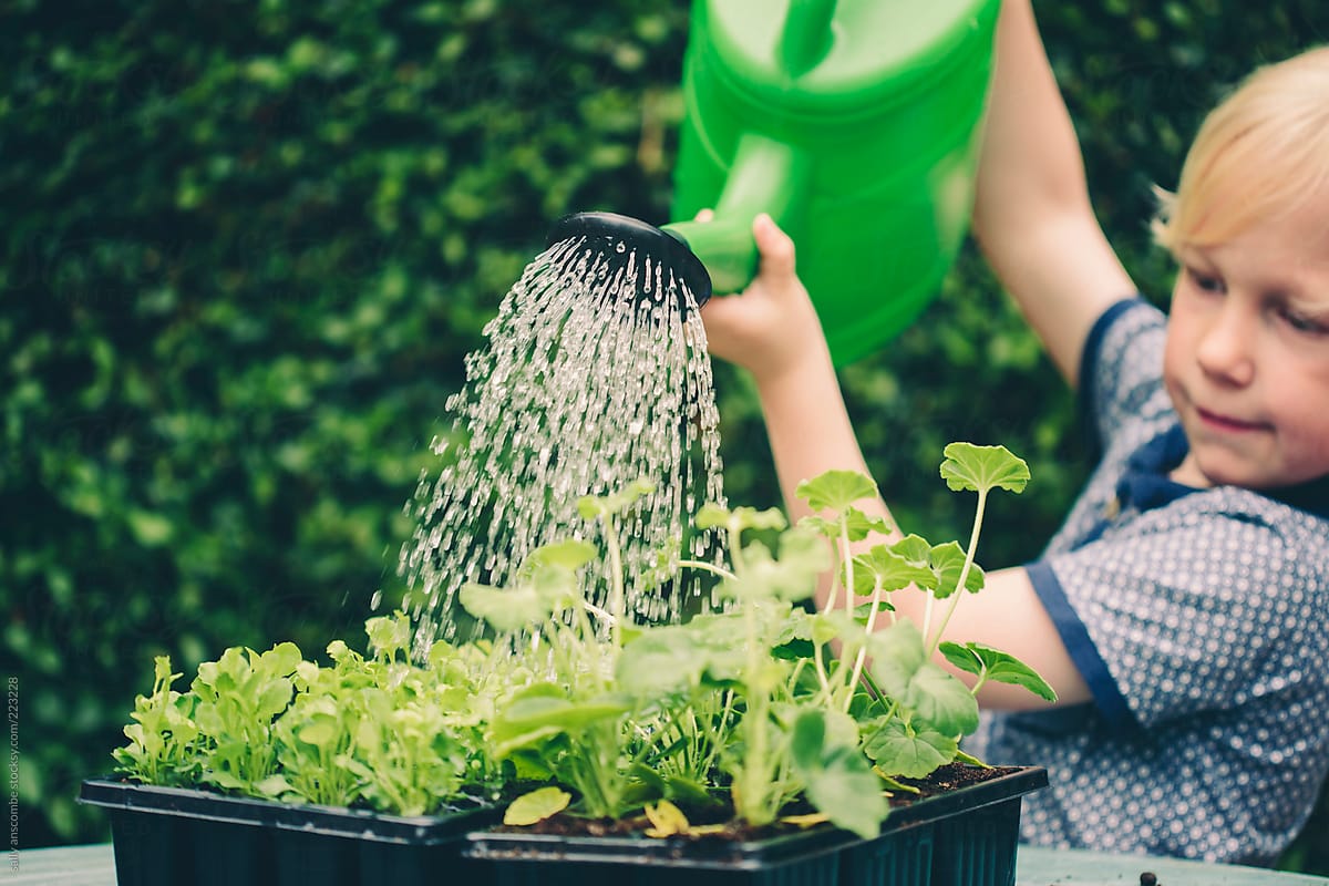 Watering plant can clients water like understanding truly person power other