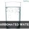 Is Carbonated Water Good for Plants?