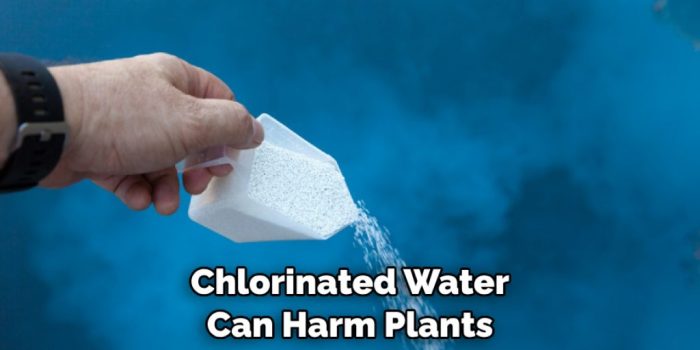 How to dechlorinate tap water for plants