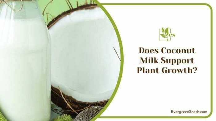 Is coconut water good for plants