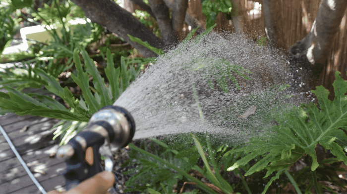 How often should i water outdoor plants