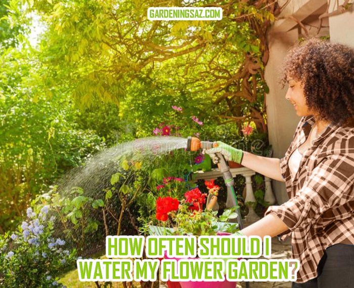 How often should i water outdoor plants