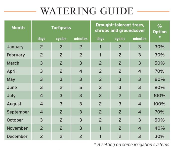 How much water do potted plants need