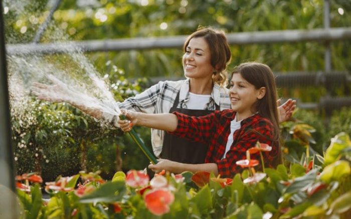 When is the best time water plants