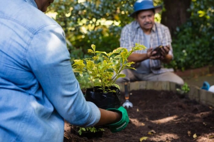 How often to water newly planted shrubs