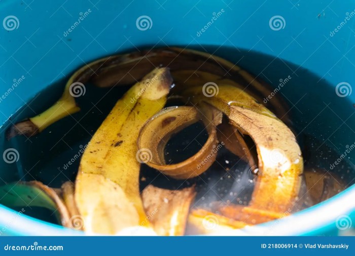 What does banana water do for plants