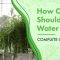 How Much Should You Water Plants?