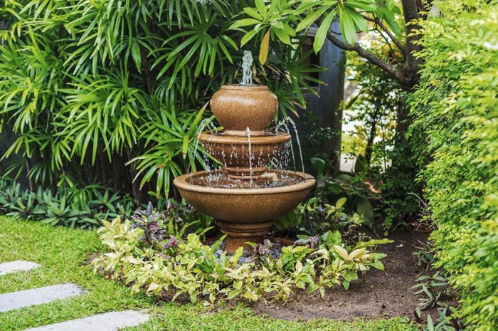 What plants to put around a water fountain