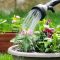 How Much Should You Water a Plant?