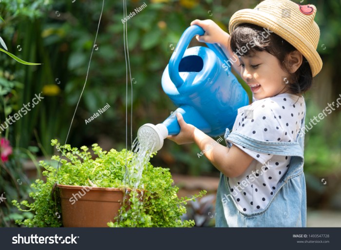 What do you use to water the plants