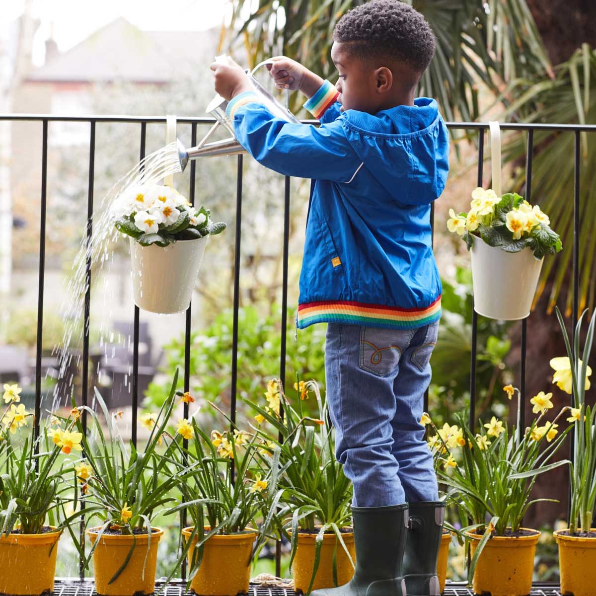 What time of day to water plants